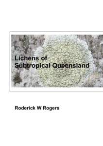 text  Roderick W Rogers Lichens of Subtropical Queensland