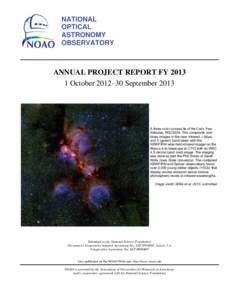 NATIONAL OPTICAL ASTRONOMY OBSERVATORY  ANNUAL PROJECT REPORT FY 2013