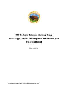 DOI Strategic Sciences Working Group   Mississippi Canyon 252/Deepwater Horizon Oil Spill Progress Report