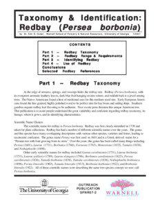 Taxonomy & Identification: Redbay ((Persea Persea borbonia