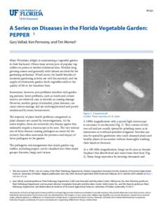 PP201  A Series on Diseases in the Florida Vegetable Garden: PEPPER 1 Gary Vallad, Ken Pernezny, and Tim Momol2