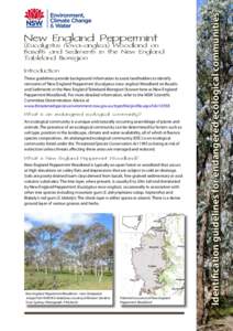(Eucalyptus nova-anglica) Woodland on Basalts and Sediments in the New England Tableland Bioregion Introduction These guidelines provide background information to assist landholders to identify remnants of ‘New England
