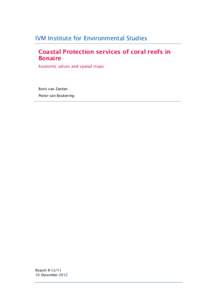 IVM Institute for Environmental Studies 7 Coastal Protection services of coral reefs in Bonaire Economic values and spatial maps