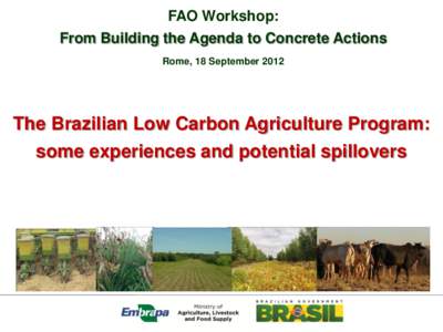FAO Workshop:  From Building the Agenda to Concrete Actions Rome, 18 SeptemberThe Brazilian Low Carbon Agriculture Program: