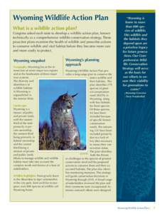 Subhead 1 Wyoming Wildlife Action Plan Subhead 1