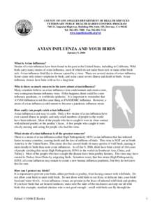 Microsoft Word - AVIAN INFLUENZA and your pet birds LA County flyer.doc