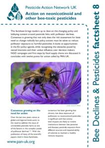 This factsheet brings readers up to date on the changing policy and lobbying context around pesticide links with pollinator declines. Consensus is growing that not only does the risk assessment for bees need to change ra