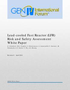 LEAD-COOLED FAST REACTOR (LFR)  RSWG WHITE PAPER Lead-cooled Fast Reactor (LFR) Risk and Safety Assessment