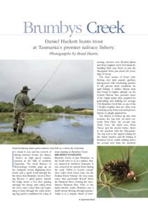 Brumbys Creek Daniel Hackett hunts trout at Tasmania’s premier tailrace fishery. Photographs by Brad Harris. moving currents over flooded plains and deep original creek bed channels,