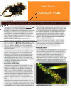 Insect Answers:  Lecanium Scale WA S H I N G T O N S TAT E U N I V E R S I T Y E X T E N S I O N FA C T S H E E T • F SE European fruit lecanium, Parthenolecanium corni, is a widespread scale pest throughout Was