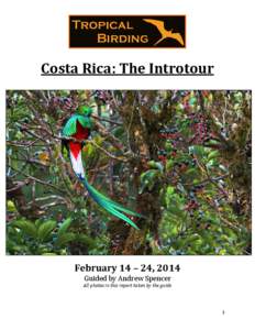 Costa Rica: The Introtour  February 14 – 24, 2014 Guided by Andrew Spencer All photos in this report taken by the guide