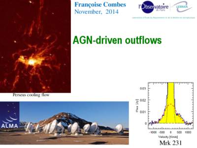 Françoise Combes November, 2014 AGN-driven outflows  Perseus cooling flow