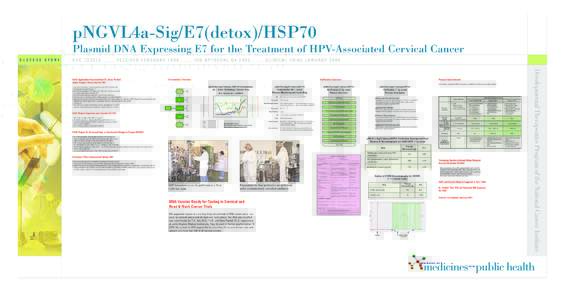 pNGVL4a-Sig/E7(detox)/HSP70 Plasmid DNA Expressing E7 for the Treatment of HPV-Associated Cervical Cancer N S C[removed][removed]R E C E I V E D F E B R U A R Y[removed][removed]I R B A P P R O V A L Q 