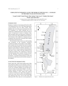 GSI Current Research, vol[removed]FORMATION OF SINKHOLES ALONG THE SHORE OF THE DEAD SEA — SUMMARY OF THE FIRST STAGE OF INVESTIGATION