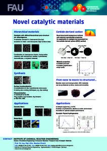 Novel catalytic materials Hierarchical materials Carbide-derived carbon  Catalysts with defined hierarchical pore structure