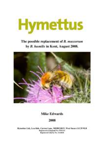The possible replacement of B. muscorum by B. humilis in Kent, AugustMike Edwards 2008 Hymettus Ltd., Lea-Side, Carron Lane, MIDHURST, West Sussex GU29 9LB