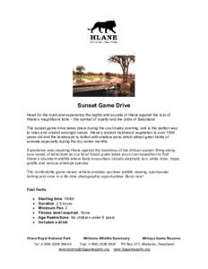 Sunset Game Drive Head for the bush and experience the sights and sounds of Hlane against the roar of Hlane’s magnificent lions – the symbol of royalty and the pride of Swaziland. The sunset game drive takes place du