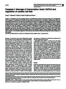 OPEN  Citation: Cell Death and Disease[removed], e1566; doi:[removed]cddis[removed] & 2014 Macmillan Publishers Limited All rights reserved[removed]www.nature.com/cddis