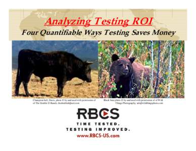 Analyzing Testing ROI Four Quantifiable Ways Testing Saves Money Champion bull, Deets, photo © by and used with permission of of The Double D Ranch, 