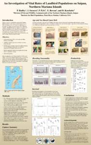 An Investigation of Vital Rates of Landbird Populations on Saipan, Northern Mariana Islands P. 1 Radley ,