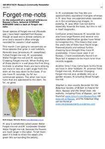 AM BRATACH: Raasay’s Community Newsletter July 2017 Forget-me-nots In the sixteenth of a series of articles on Raasay’s flora, botanist STEPHEN