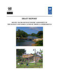 DRAFT REPORT BELIZE: MACRO SOCIO-ECONOMIC ASSESSMENT OF THE DAMAGE AND LOSSES CAUSED BY TROPICAL DEPRESSION 16