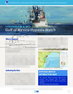 National Oceanic and Atmospheric Administration | National Centers for Environmental Information  Gulf of Mexico Hypoxia Watch What is Hypoxia? Hypoxia literally means “low oxygen.” Hypoxic water bodies are depleted 