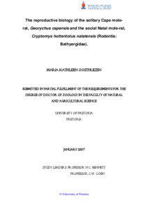The reproductive biology of the solitary Cape molerat, Georychus capensis and the social Natal mole-rat, Cryptomys hottentotus natalensis (Rodentia: Bathyergidae).