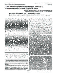 THE JOURNAL OF BIOLOGICAL CHEMISTRY © 2002 by The American Society for Biochemistry and Molecular Biology, Inc. Vol. 277, No. 37, Issue of September 13, pp[removed] –34286, 2002 Printed in U.S.A.