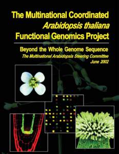 Cover Photos: A showcase of images from the Arabidopsis research community, from whole plants to molecules. Background: Wild-type Arabidopsis inflorescence. Photo courtesy of GABI, the German plant genome program (http:
