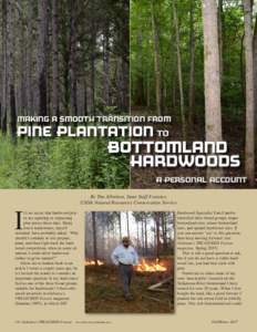 Making a Smooth Transition from  Pine Plantation TO Bottomland Hardwoods