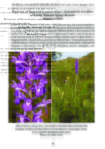JOURNAL of the HARDY ORCHID SOCIETY Vol. 9 NoJanuaryDiscovery of Dactylorhiza praetermissa × Gymnadenia densiflora at Kenfig National Nature Reserve Michael J. Clark As we are aware, members of the group