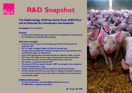R&D Snapshot The Epidemiology of African Swine Fever (ASF) Virus and its Potential for Introduction into Australia Investigator: Eric Neumamm Purpose: •	 To inform the Australian pig industry about ASF and identify the