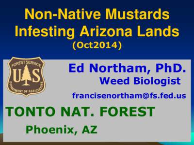 Non-Native Mustards Infesting Arizona Lands (Oct2014) Ed Northam, PhD. Weed Biologist
