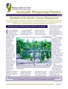 Sustainable Winegrowing Practices April 2002 Highlight of the Month: Canopy Management The canopy management techniques of leaf removal, shoot positioning, trellises and vine spacing can be used to improve the light and 