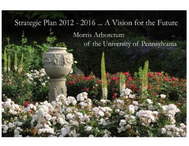 Key Themes for Strategic Plan