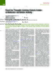 Food for Thought: Linking Caloric Intake to Behavior via Sirtuin Activity