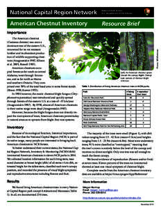 National Capital Region Network  National Park Service U.S. Department of the Interior  American Chestnut Inventory
