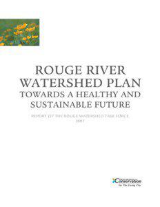 ROUGE RIVER WATERSHED PLAN TOWARDS A HEALTHY AND