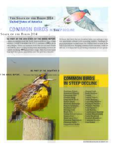 The State of the Birds 2014 United States of America COMMON BIRDS IN STEEP DECLINE AS PART OF THE 2014 STATE OF THE BIRDS REPORT, a team of scientists from the North American Bird Conservation