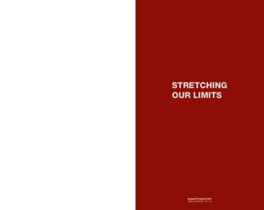 Dipped Products PLC  |  Annual ReportSTRETCHING OUR LIMITS  STRETCHING