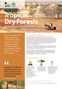 Tropical Dry Forests Under Threat & Under-Researched Dry forests support the livelihoods of many