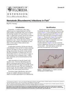 Circular 91  Nematode (Roundworm) Infections in Fish1 Roy P.E. Yanong 2  Introduction