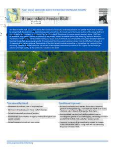 PUGET SOUND NEARSHORE ECOSYSTEM RESTORATION PROJECT (PSNERP) POTENTIAL RESTORATION SITES Beaconsfield Feeder Bluff  IMAGE: Washington State Department of Ecology (2006)
