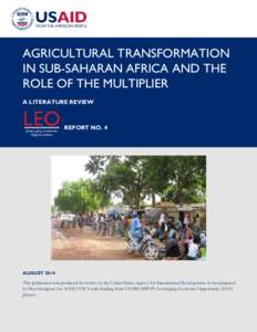 AGRICULTURAL TRANSFORMATION IN SUB-SAHARAN AFRICA AND THE ROLE OF THE MULTIPLIER A LITERATURE REVIEW  REPORT NO. 4
