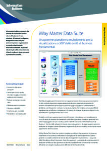 iWay Master Data Suite Una potente piattaforma multidominio per la visualizzazione a 360° delle entità di business fondamentali  Funzionalità principali