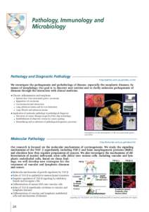 3  Pathology, Immunology and Microbiology  Pathology and Diagnostic Pathology ——————————————————————————————