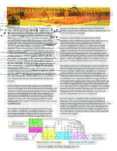 Nebraska Wheat Crop Report July 16, 2015 Kelly Schnoor, Intern 