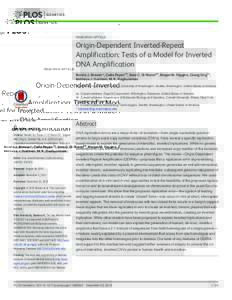 Origin-Dependent Inverted-Repeat Amplification: Tests of a Model for Inverted DNA Amplification