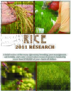 Tropical agriculture / Staple foods / Energy crops / Rice / Agriculture / Fertilizer / Maize / Rhizoctonia solani / Fungicide use in the United States / Rice cultivation in Arkansas